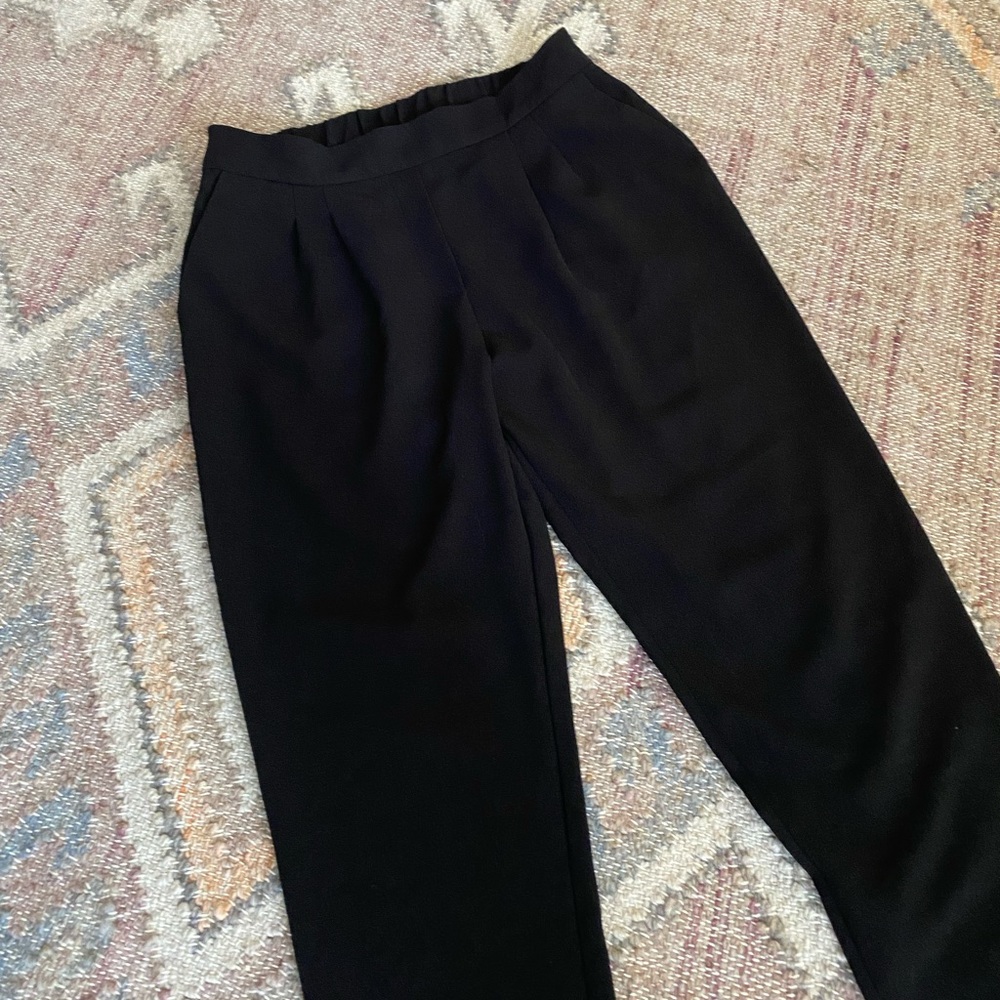 WAYF blank front pleated pant. Size small. Tapered leg.